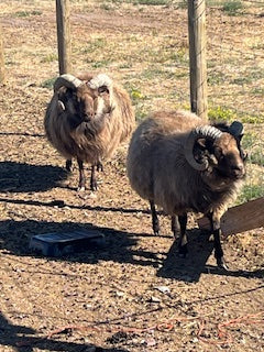 Herd Diversification
