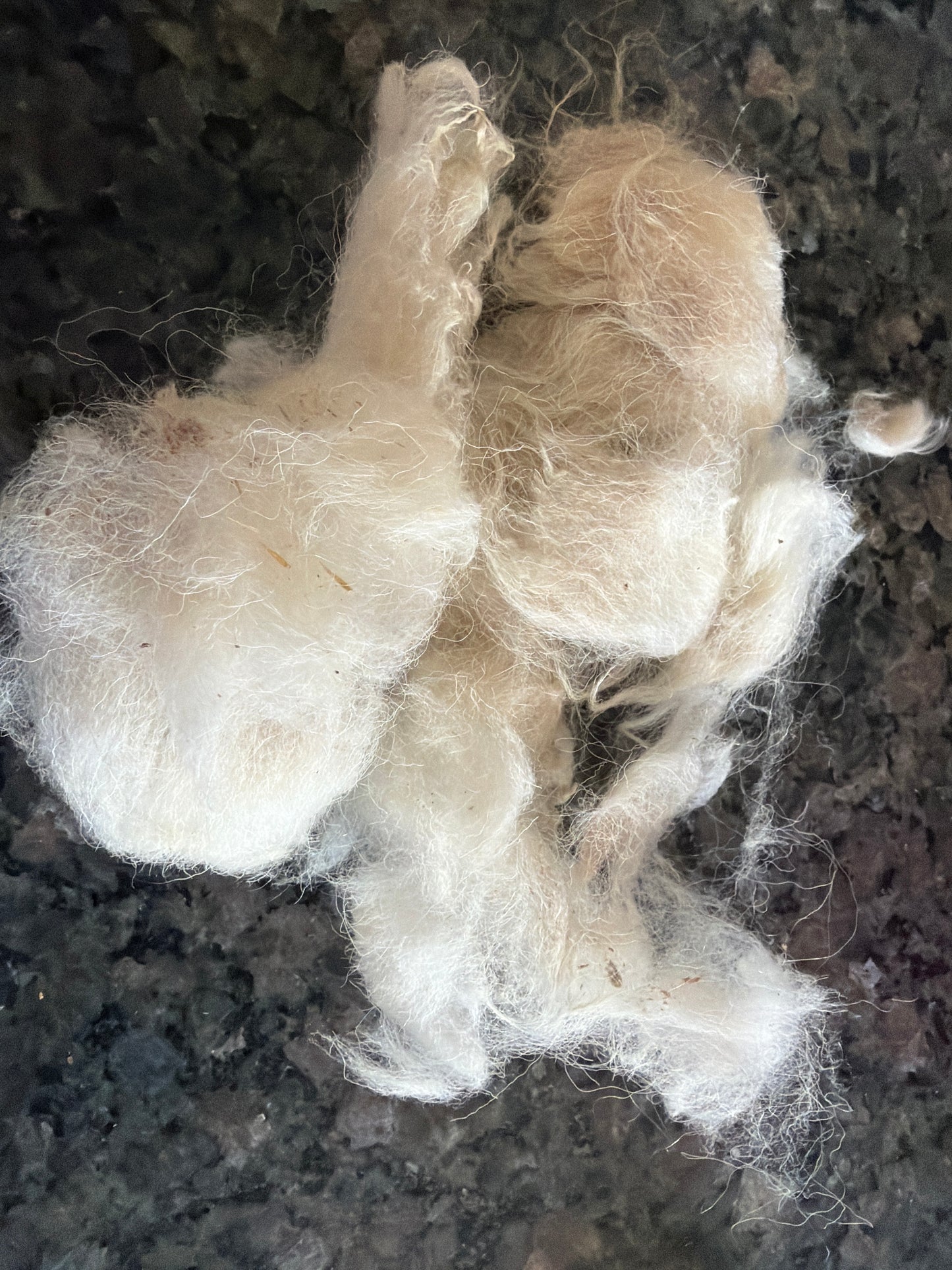 Raw Targhee X Fleece-Nublee (2 lbs)