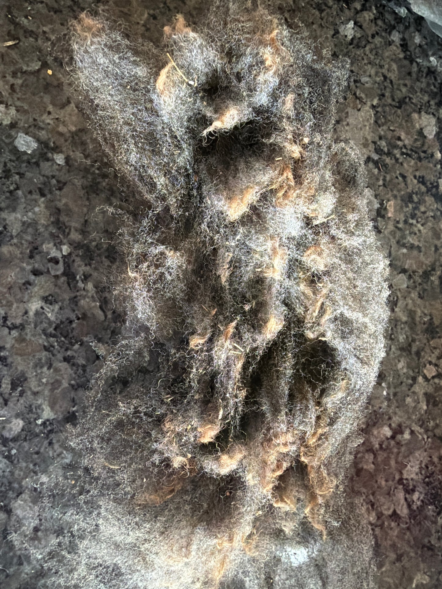 Raw Rambouillet Fiber (Black)