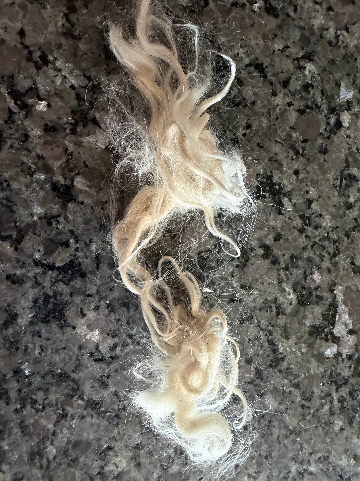 Raw Pygora Goat Fiber (Custard)