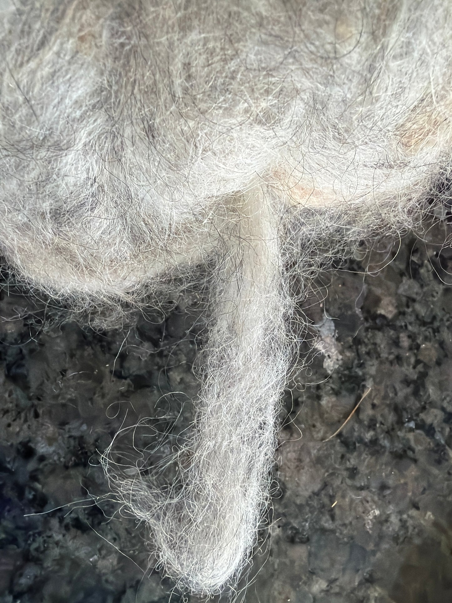 Icelandic/Pygora Roving