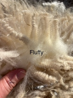 Fall Shearing Raw Targhee/Icelandic Cross-Fluffy 2lb