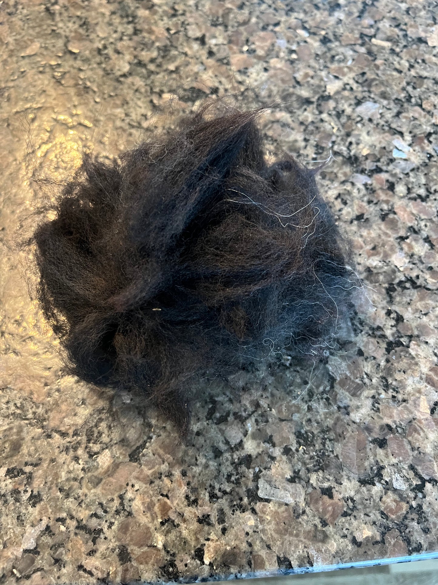 Raw Alpaca Fiber- Frankie
