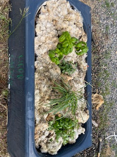 Garden Wool
