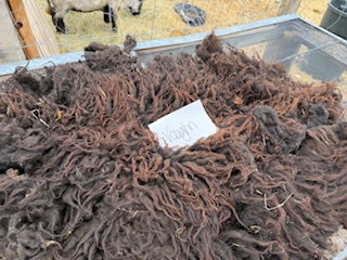 Spring Shearing Raw Fleece-Vonn