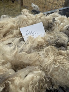 Spring Shearing Raw Fleece-Elsa
