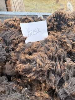 Spring Shearing Raw Fleece-Keesa