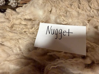 Spring Shearing Raw Targhee/Icelandic Cross Lamb Fleece-Nugget 2.5lbs