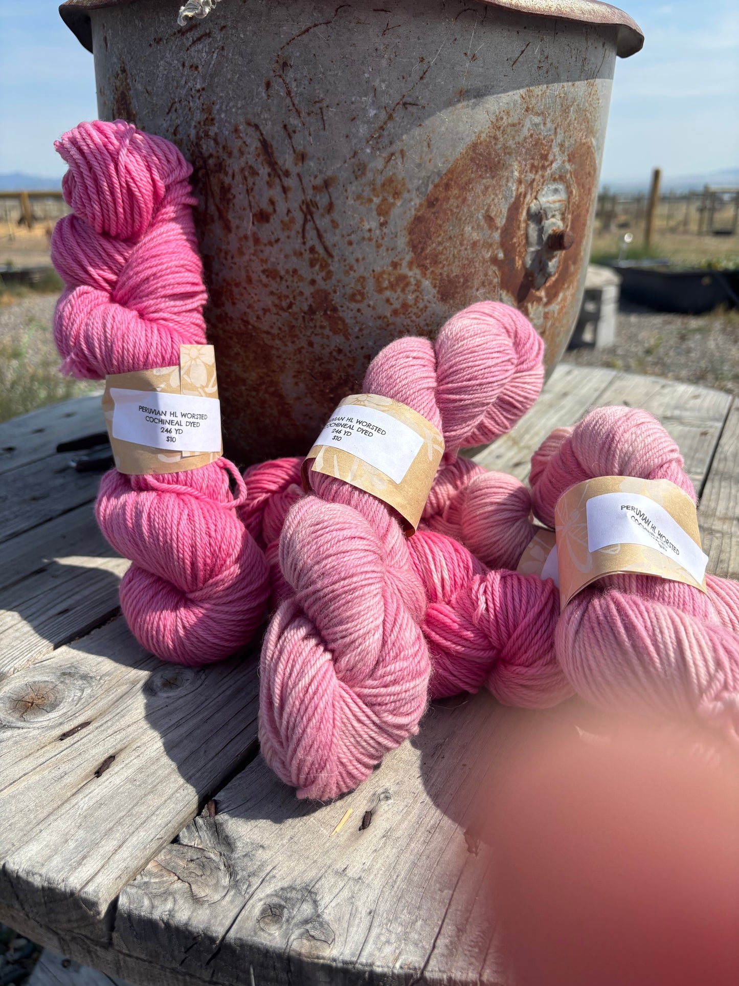 Natural Dyed Yarn-Merigold Dyed Fingerling (3/4 Merino, 1/4 Recycled Nylon) 437 yds