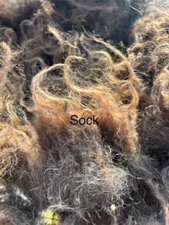 Fall Shearing Raw Finn/Icelandic Cross-Sock 1.5lbs