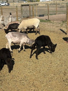 It's Just A Hobby-Why we need fibersheds