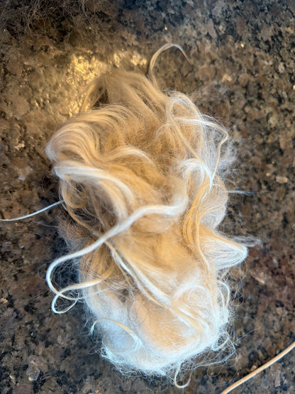 Full Icelandic Fleece (Ivan) 2 lbs