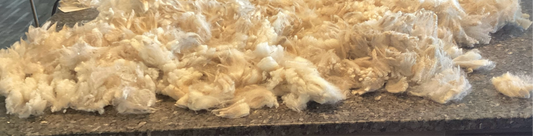 Raw Finn Fleece ( Whole) 2lbs