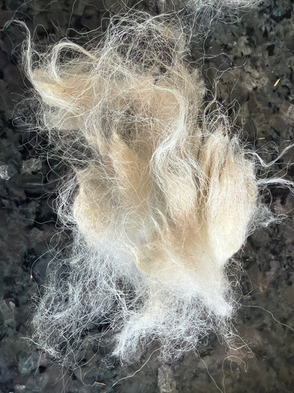 Raw Targhee  X Fleece-Nublee (2 lbs)