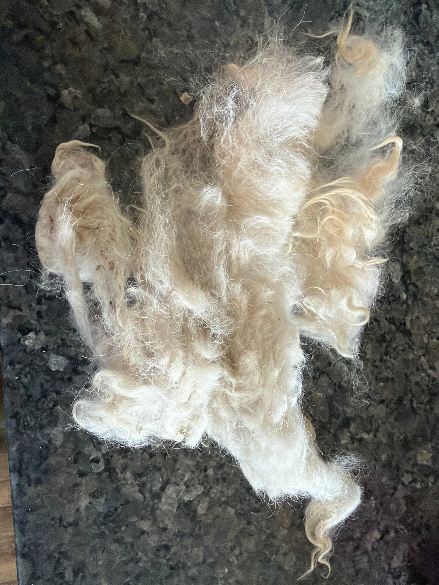 Raw Pygora Fleece-Murray