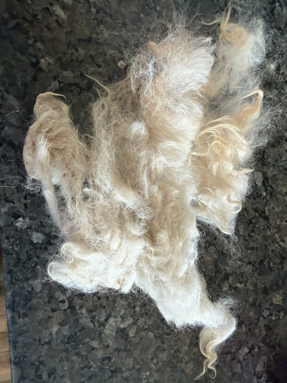 Raw Pygora Fleece-Murray