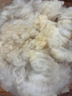 Rambouillet Wool-Raw