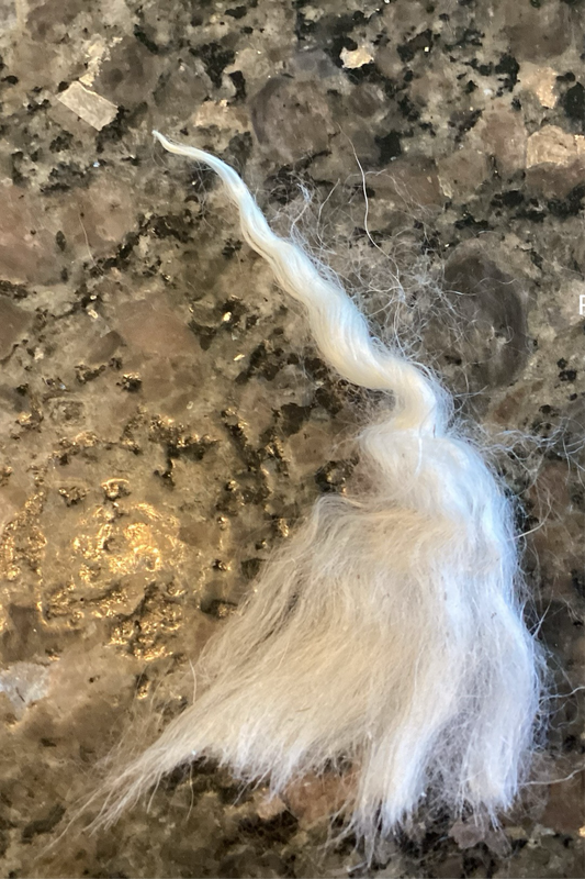 Pygora Raw Fleece-Per Ounce