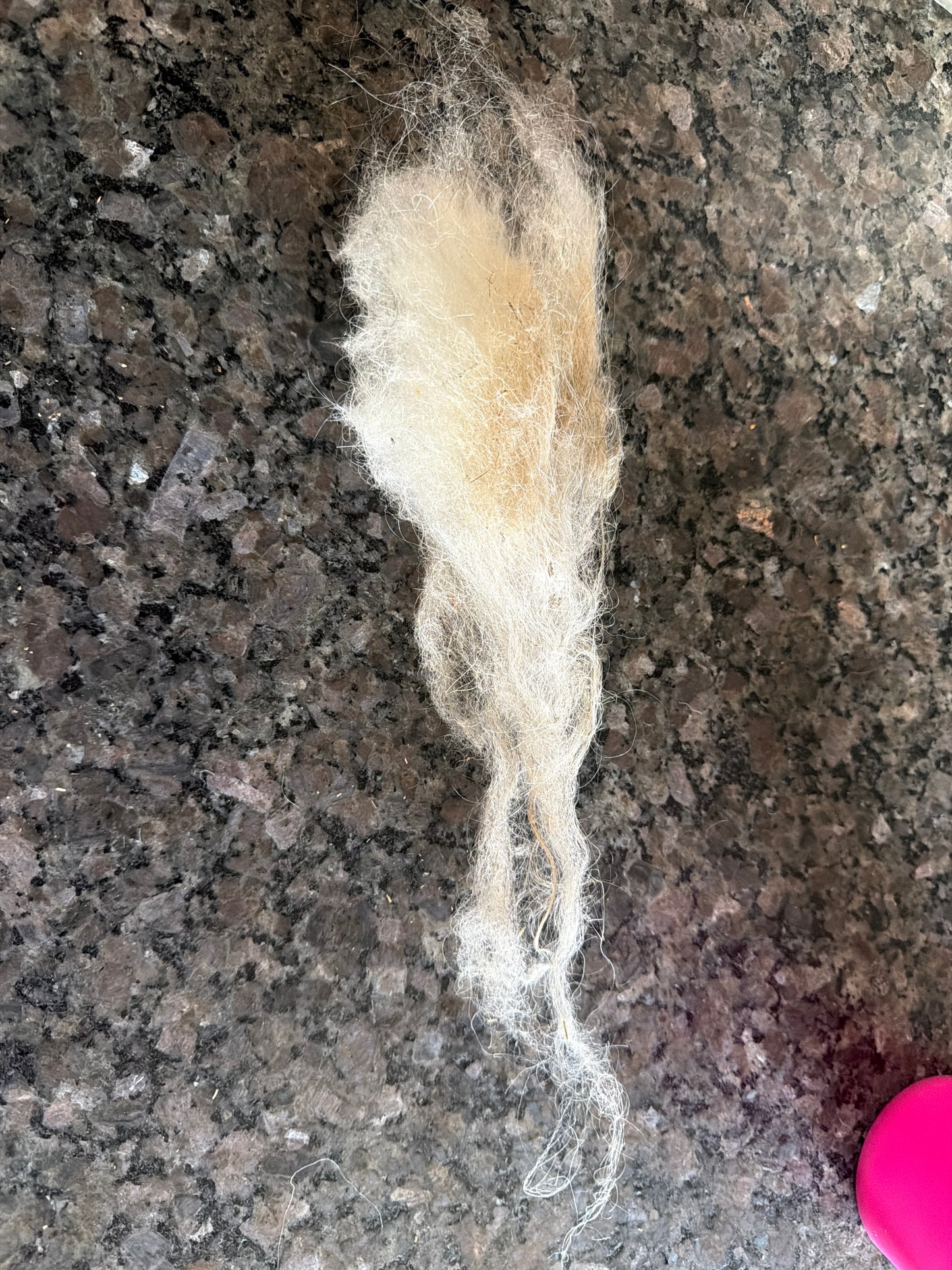Raw Icelandic Fleece (Jadis)