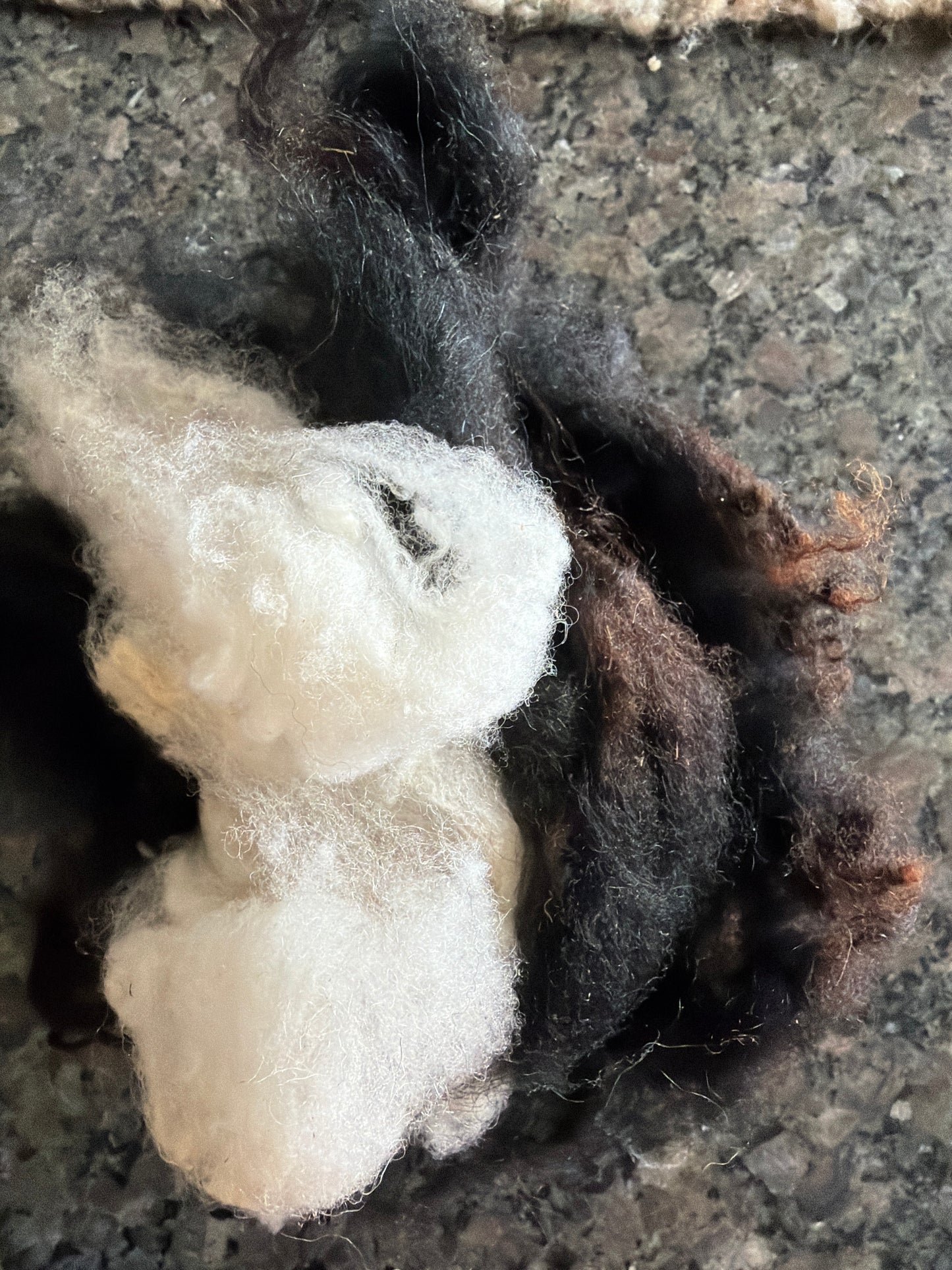 Grab Bag Wool (Raw)
