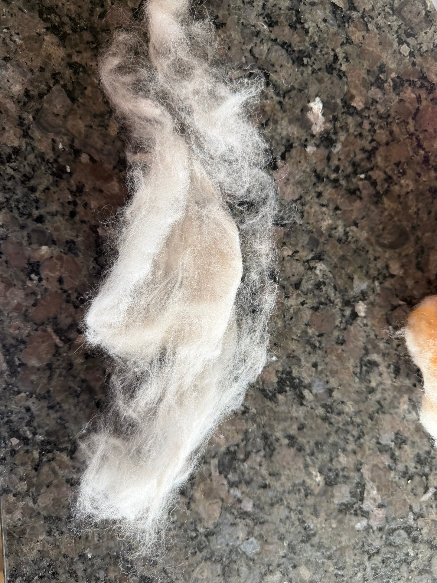 Raw Angora Rabbit Fiber (Dorian)