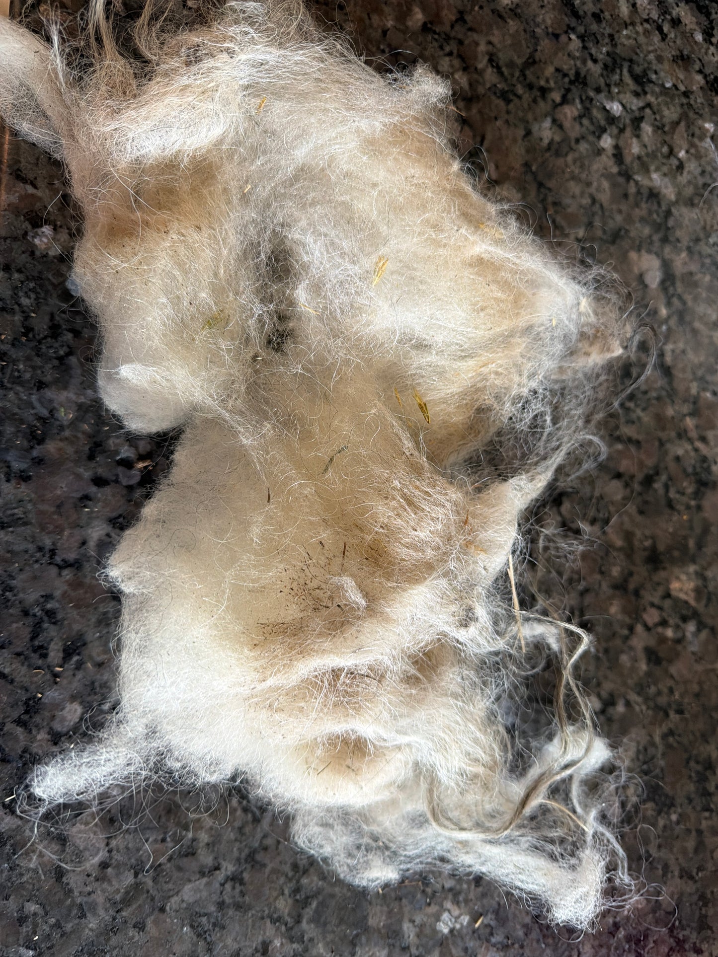 Raw Icelandic Fleece (Jadis)
