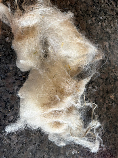Raw Icelandic Fleece (Jadis)