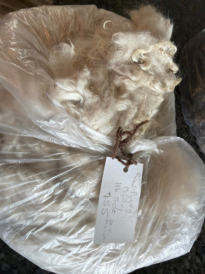 Raw Pygora Fleece-Murray