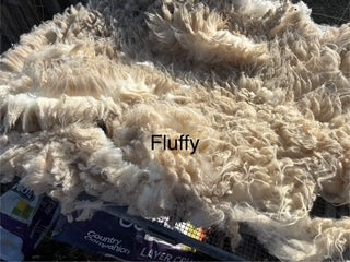Fall Shearing Raw Targhee/Icelandic Cross-Fluffy 2lb
