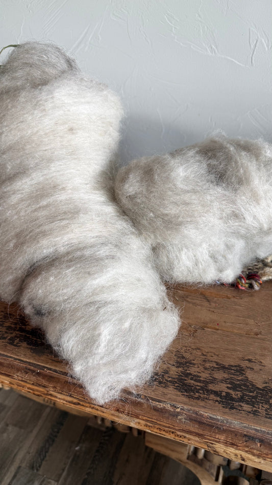 Icelandic Roving- Ingrid