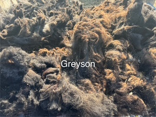 Fall Shearing Raw Shetland Fleece-Grayson 2.5lbs