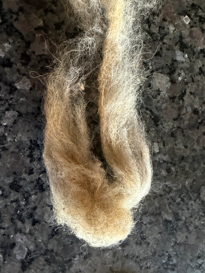 Shetland Natural Dyed Roving (Iron)