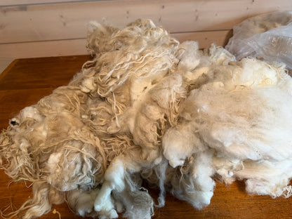 Raw Icelandic Fleece (Ivory)