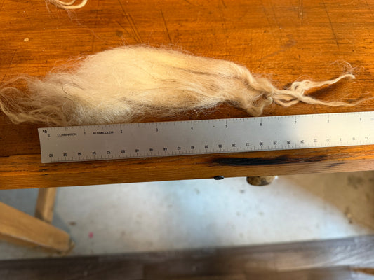 Raw Icelandic Fleece (Ivory)
