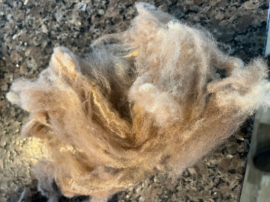 Washed Shetland Wool- Harley