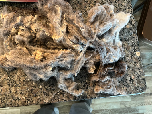 Washed Shetland Wool- Ginny