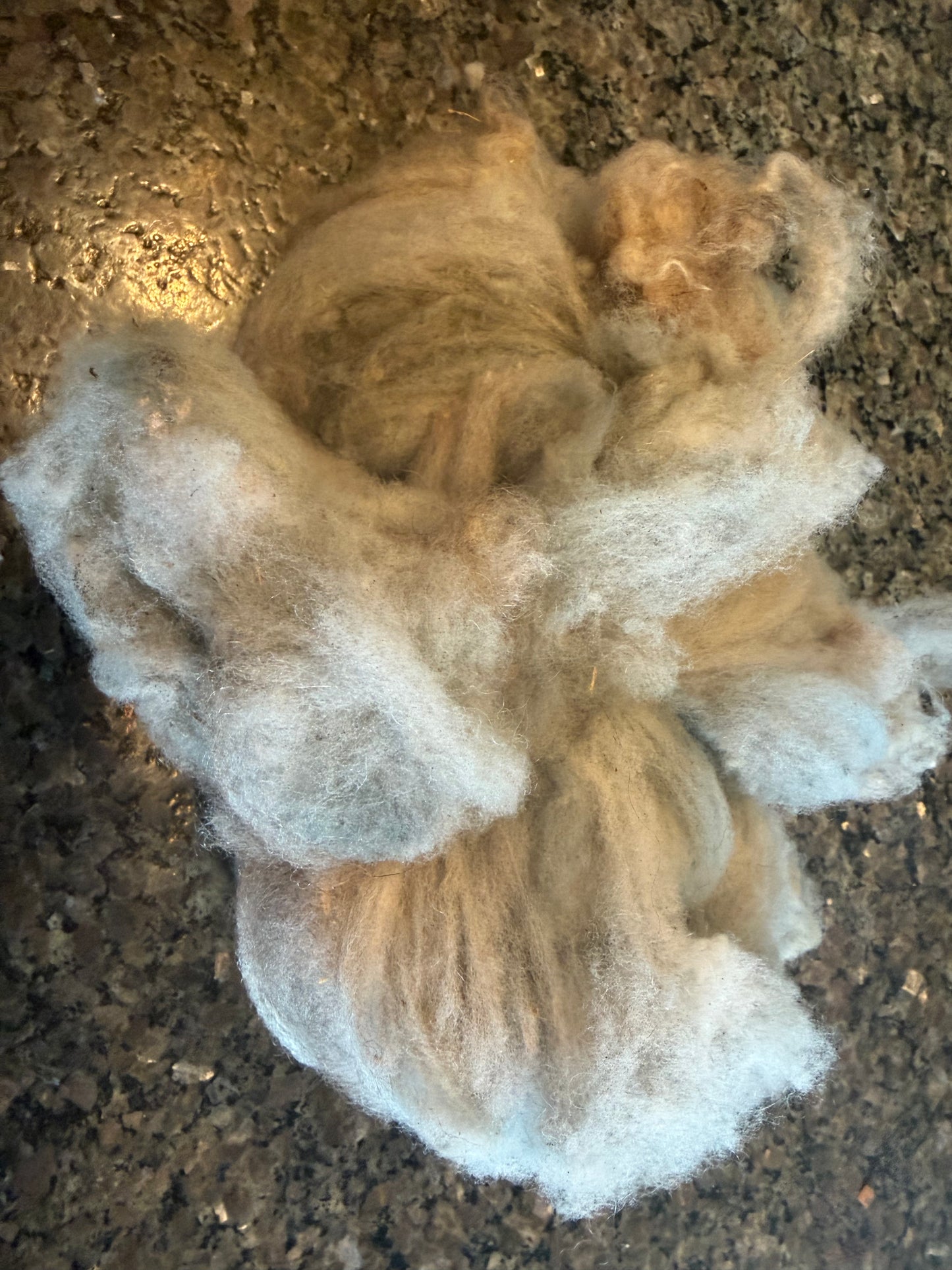 Naturally Dyed Indigo/Madder Targhee X Roving