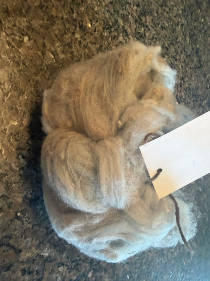 Naturally Dyed Indigo/Madder Targhee X Roving