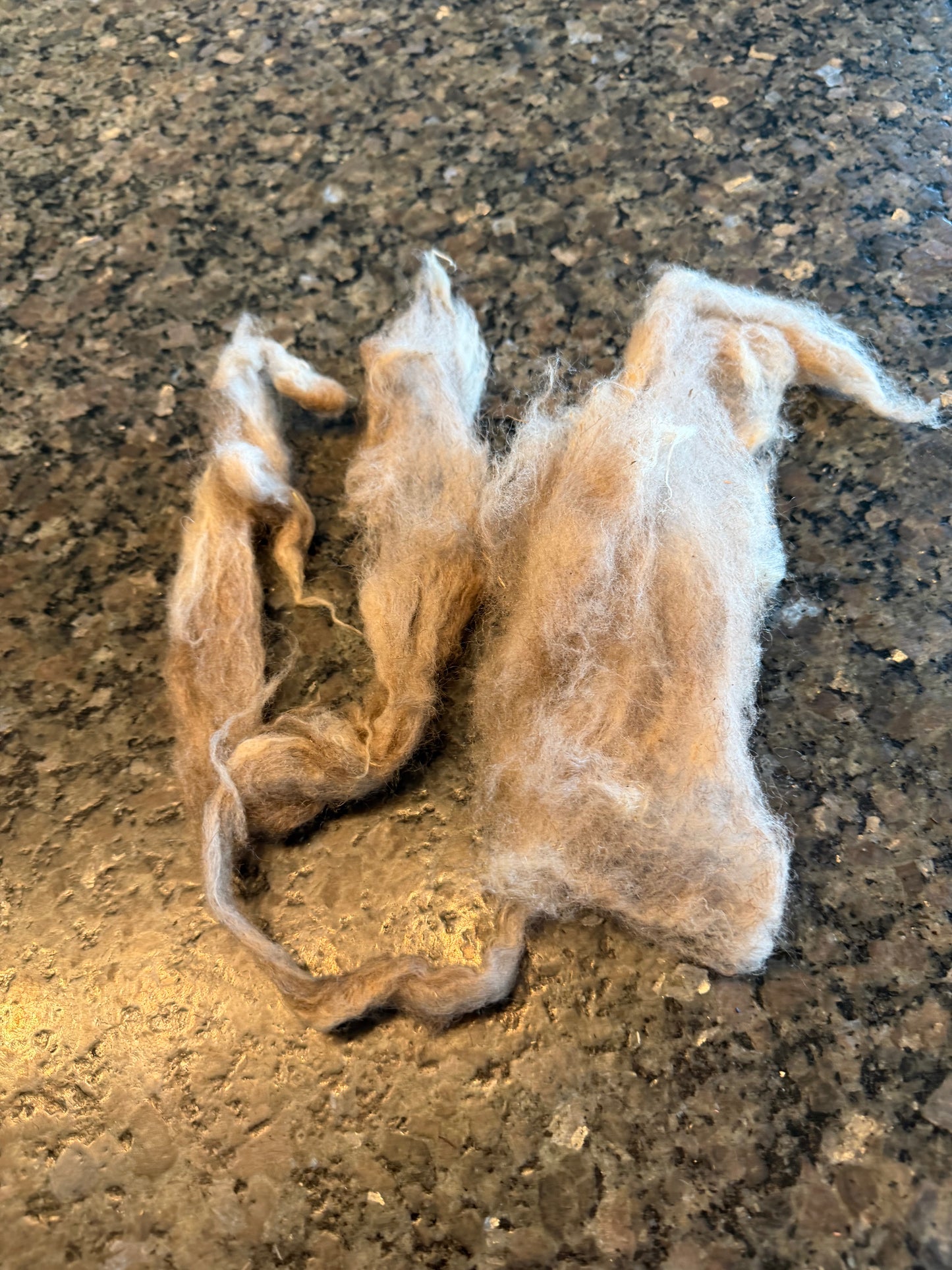 Washed Shetland Fiber (Sue)