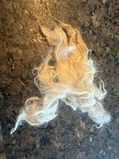 Washed Pygora Goat Fiber (Murray)