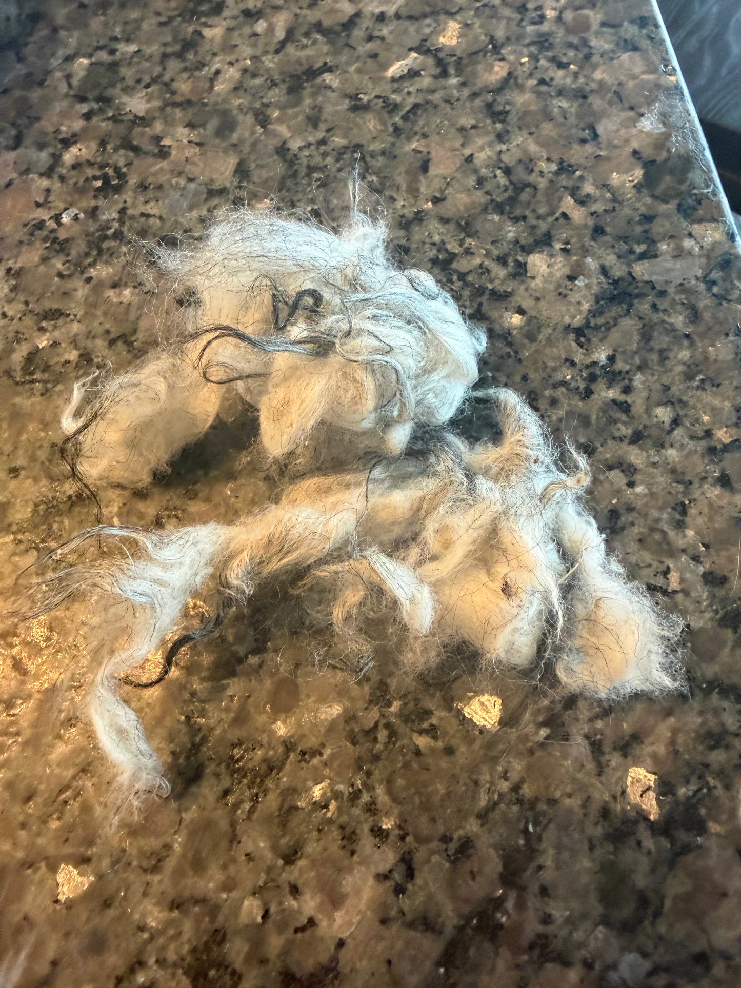 Washed  Icelandic Fiber Fjor