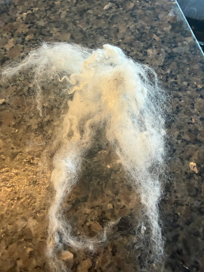 Washed Finn X Fiber (Joker)