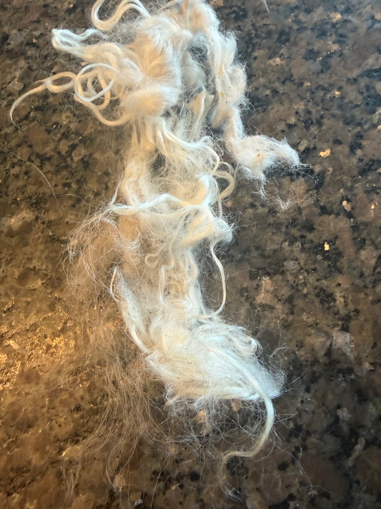 Washed Icelandic Fiber (Ingrid)