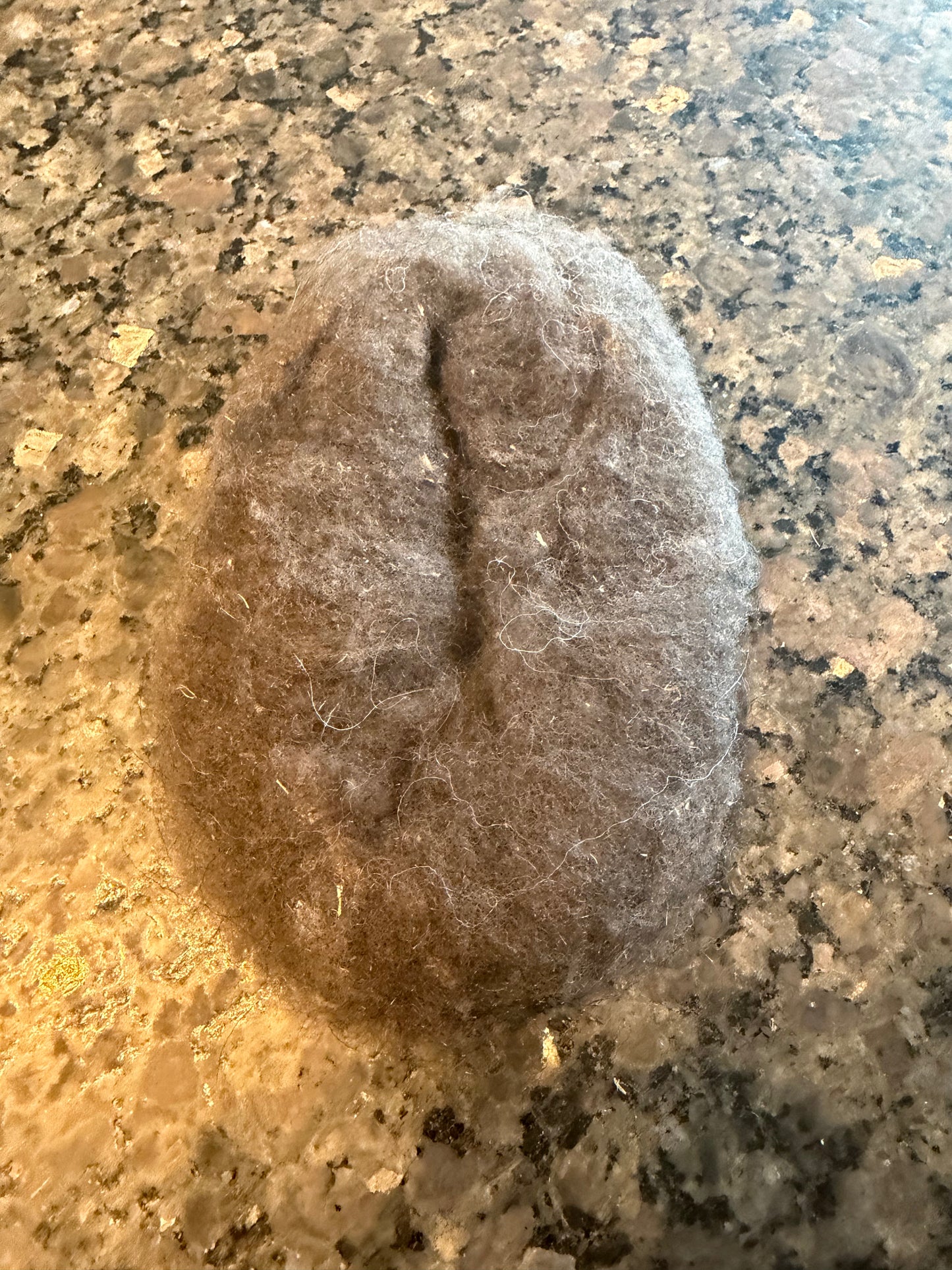 Raw Soay Fiber 1 oz