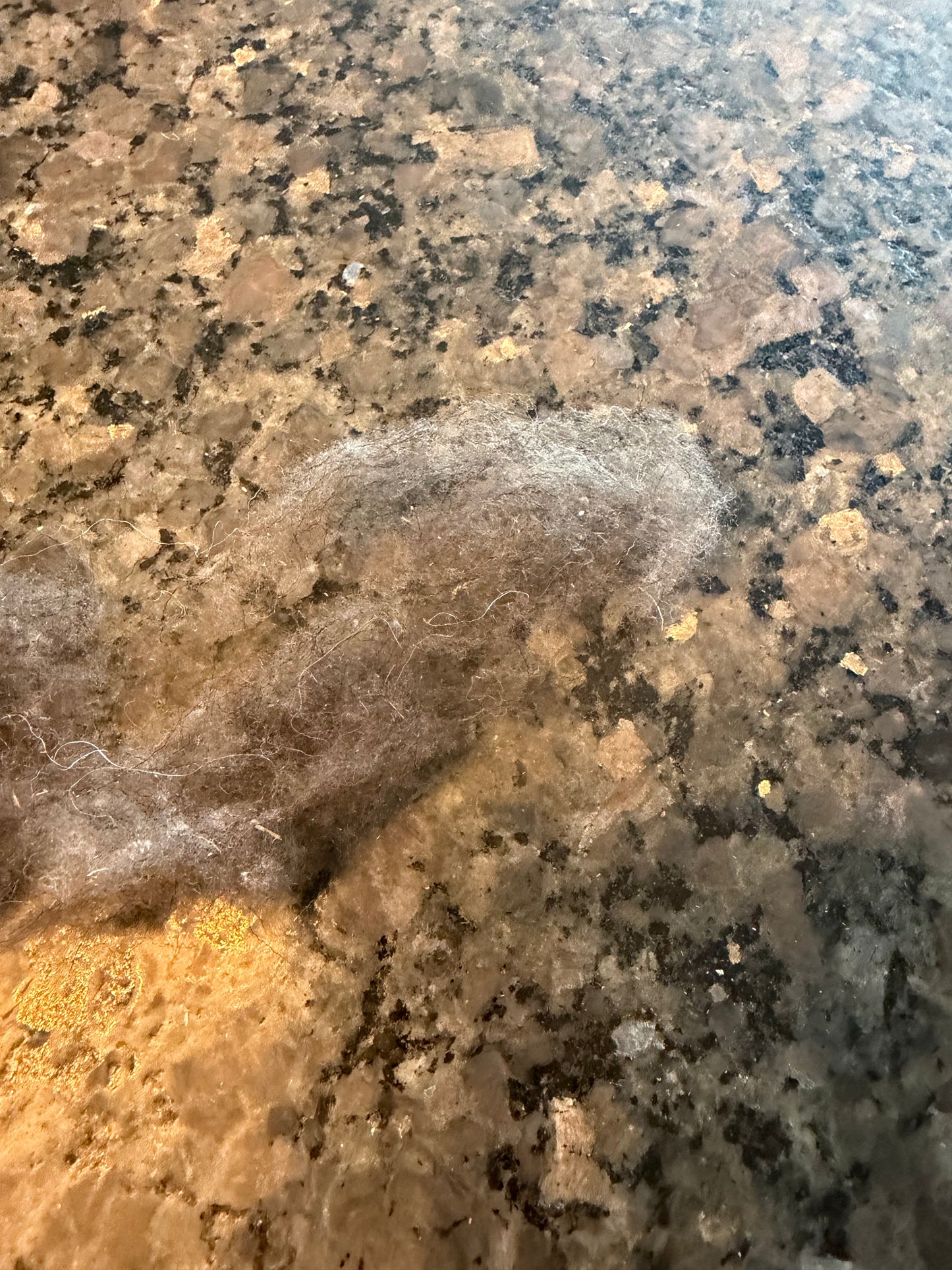 Raw Soay Fiber 1 oz