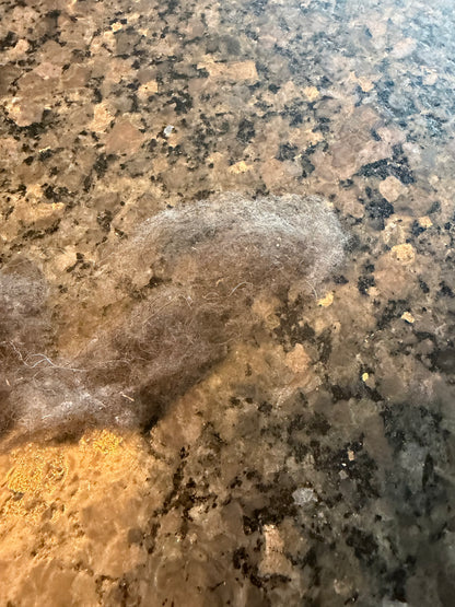 Raw Soay Fiber 1 oz
