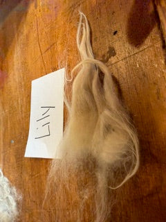 Spring Shearing Raw Targhee Cross Lamb Fleece -(Lily) 2lbs