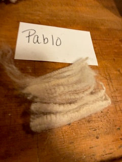 Spring Shearing Raw Fleece-BFL-Pablo (3.25lbs)