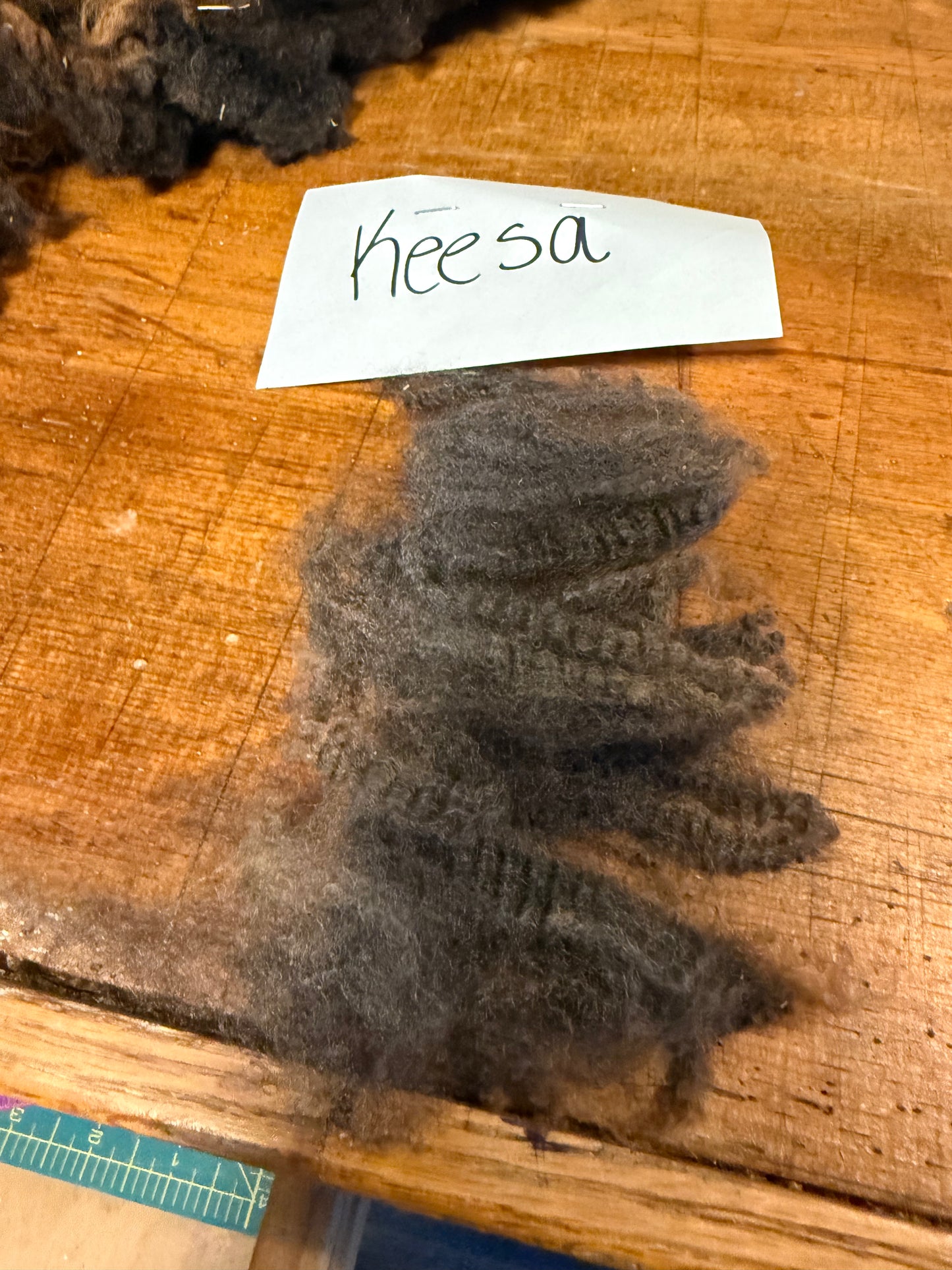 Spring Shearing Raw Fleece-Finn-Keesa (3lb)
