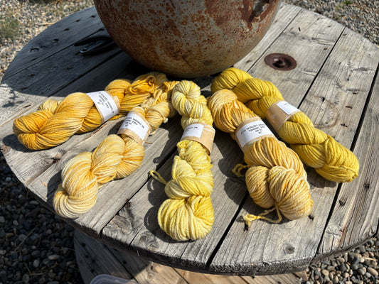 Natural Dyed Yarn Tumeric Dyed Worsted Merino 109yds